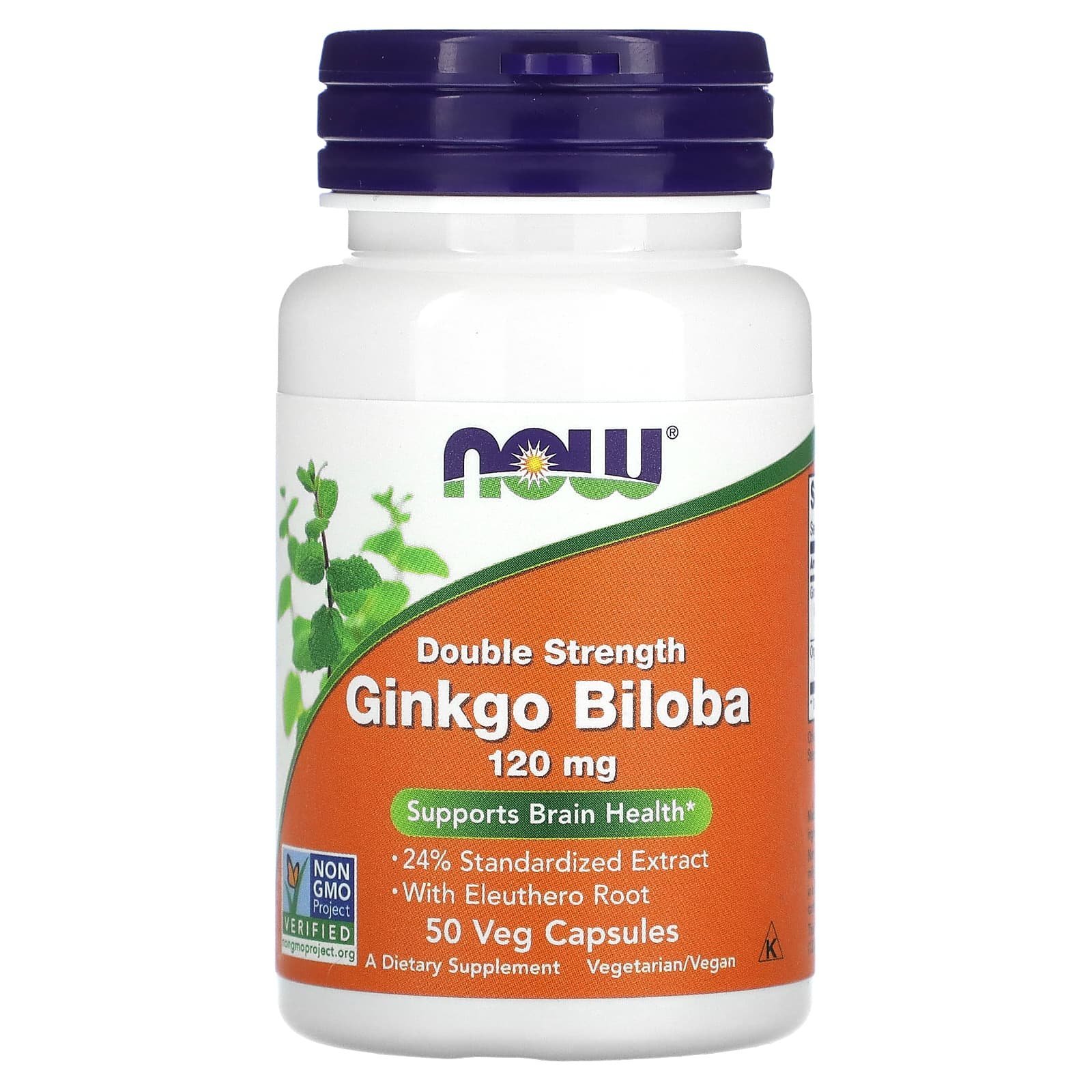 NOW Foods Ginkgo biloba double efficacité 120 mg avec ginseng sibérien – 50 capsules végétales
