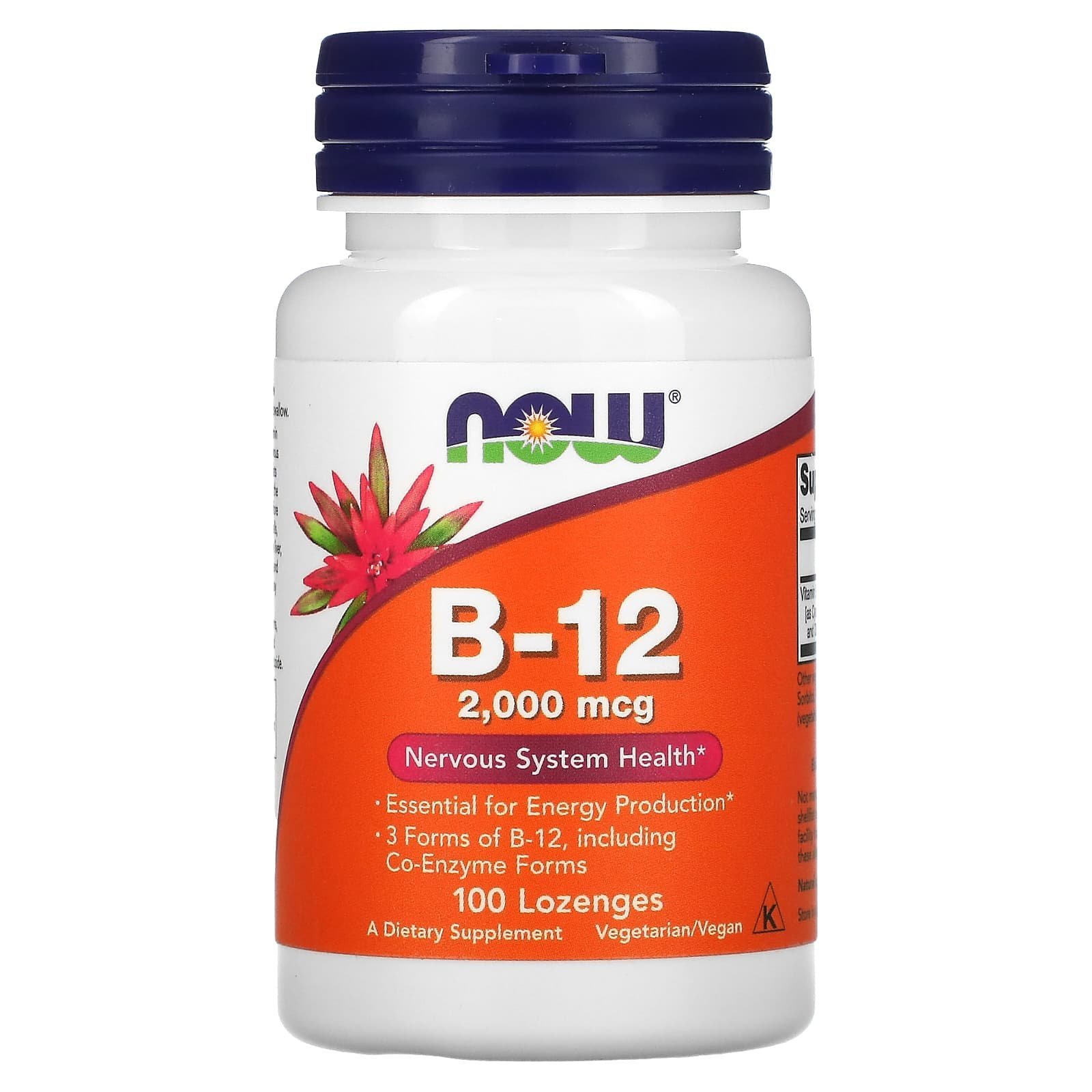 Vitamine B12 2000 µg 100 pastilles