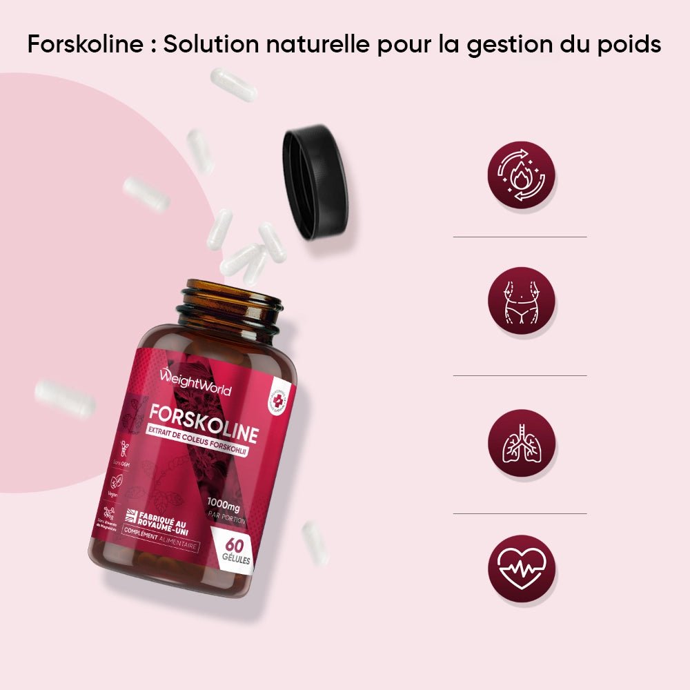 Forskoline Coleus forskohlii WeightWorld – 60 gélules – 2