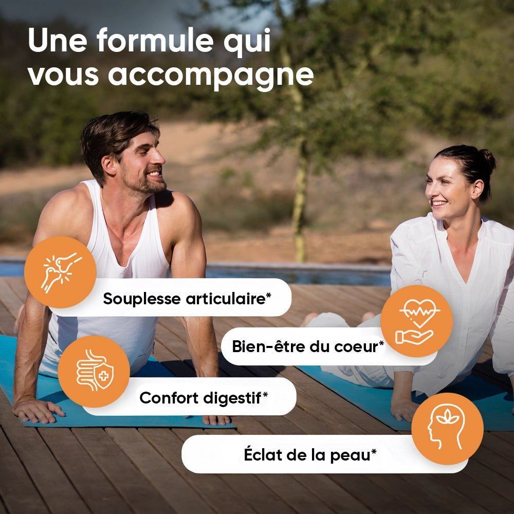 Curcuma bio au poivre noir et gingembre WeightWorld – 365 gélules – 3