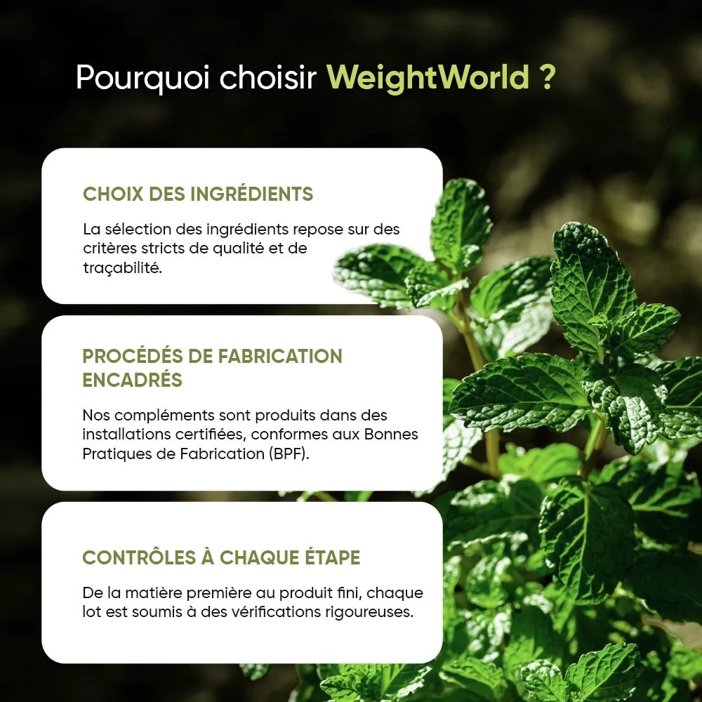 Huile de menthe poivrée 200 mg WeightWorld – 365 capsules molles – 4